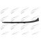 Headlamp Moulding
