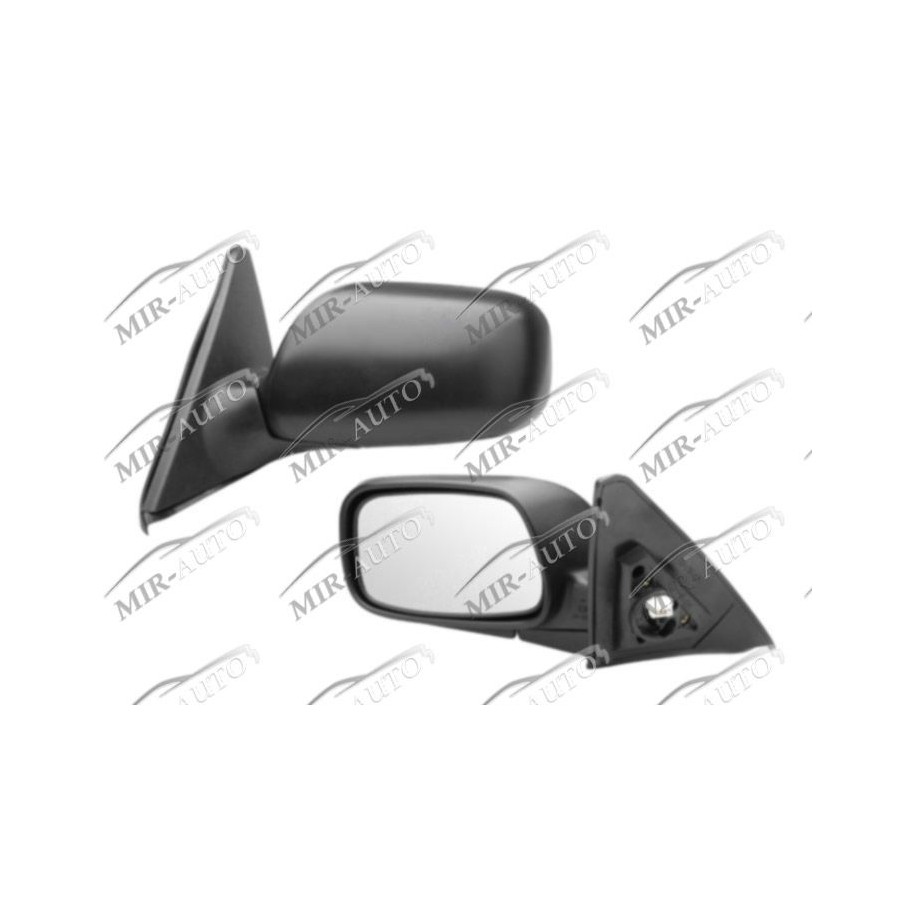 Door Mirror