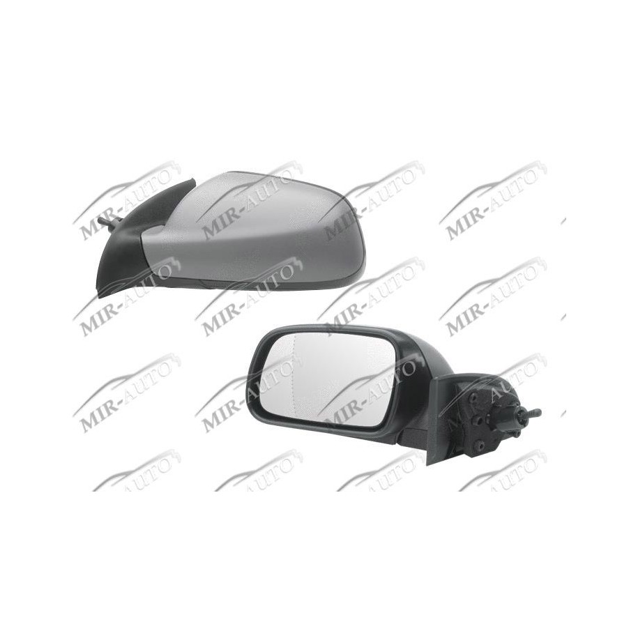 Door Mirror