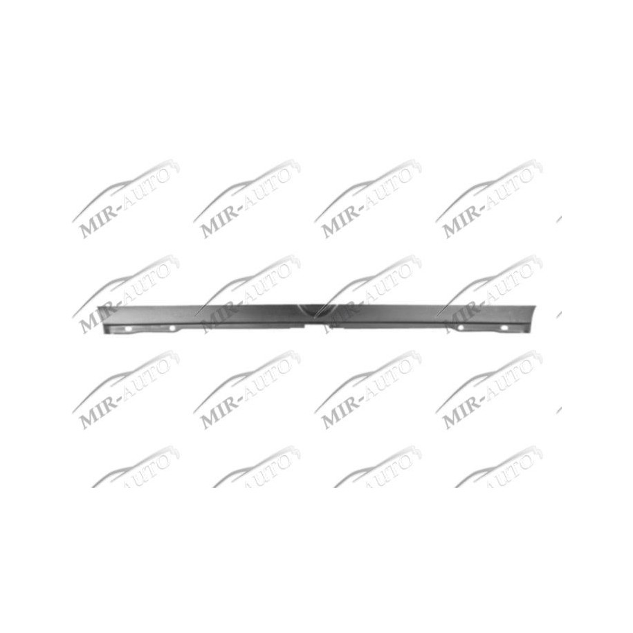 Tailgate Plate Repair Panel