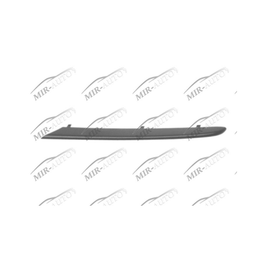 Bumper Grill Moulding