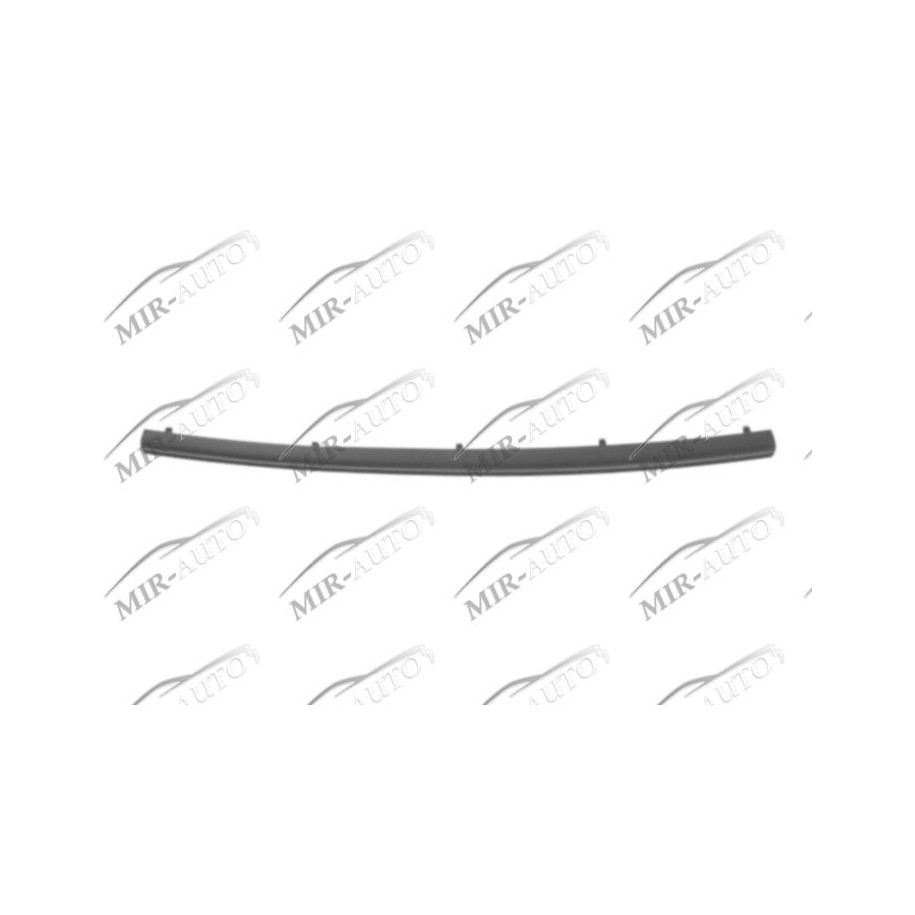 Bumper Grill Moulding