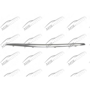 Bumper Grill Moulding