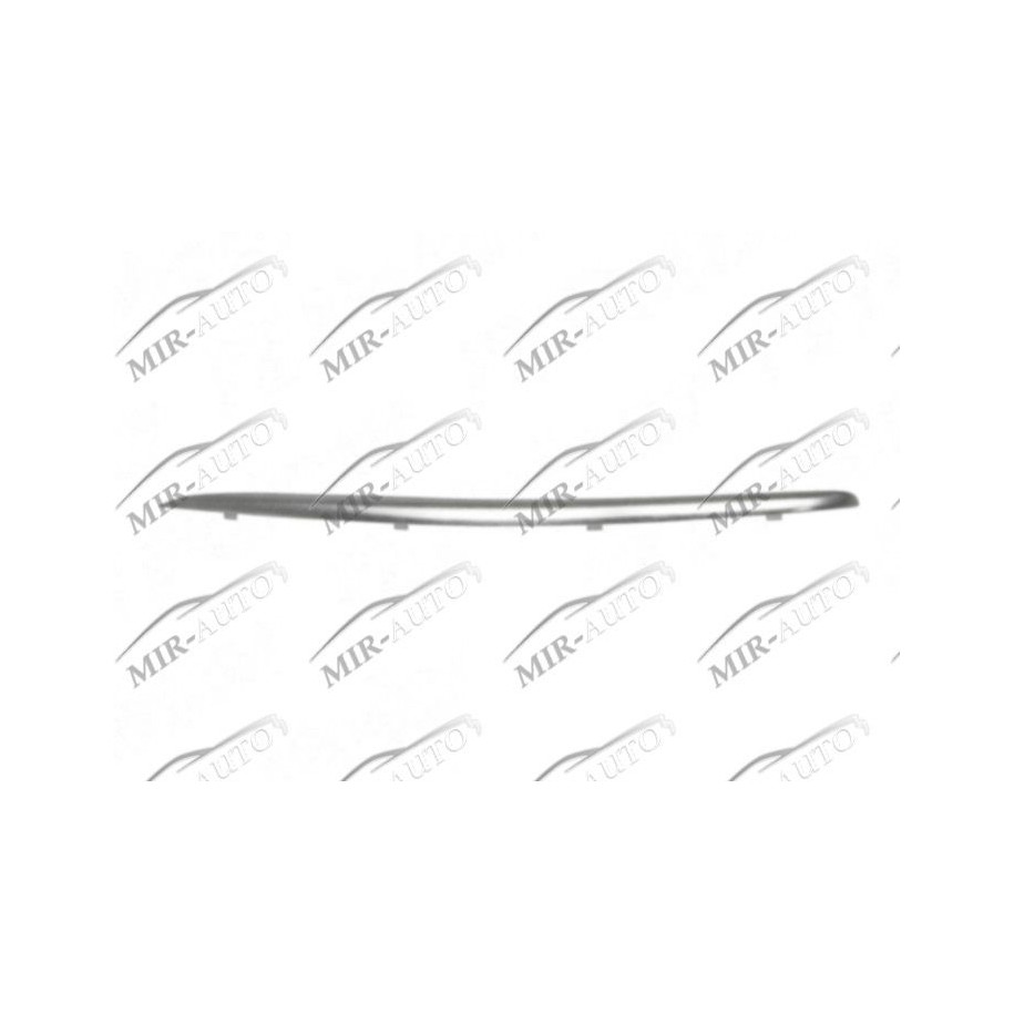 Bumper Grill Moulding