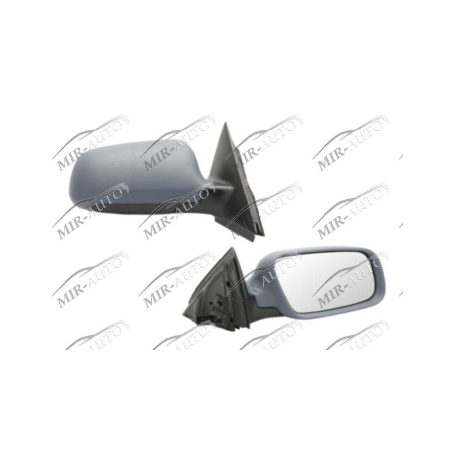 Door Mirror