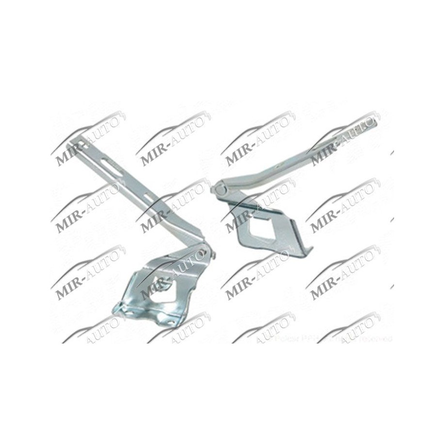 Bonnet Hinge