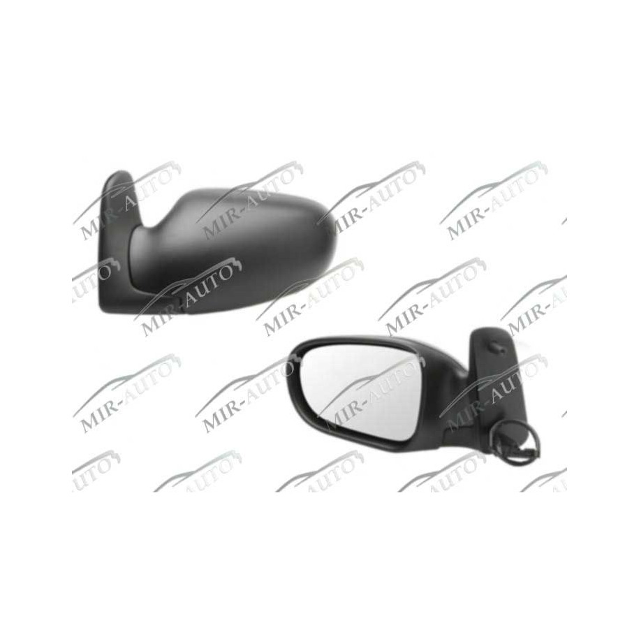 Door Mirror