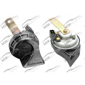 Ruporinis garsinis signalas