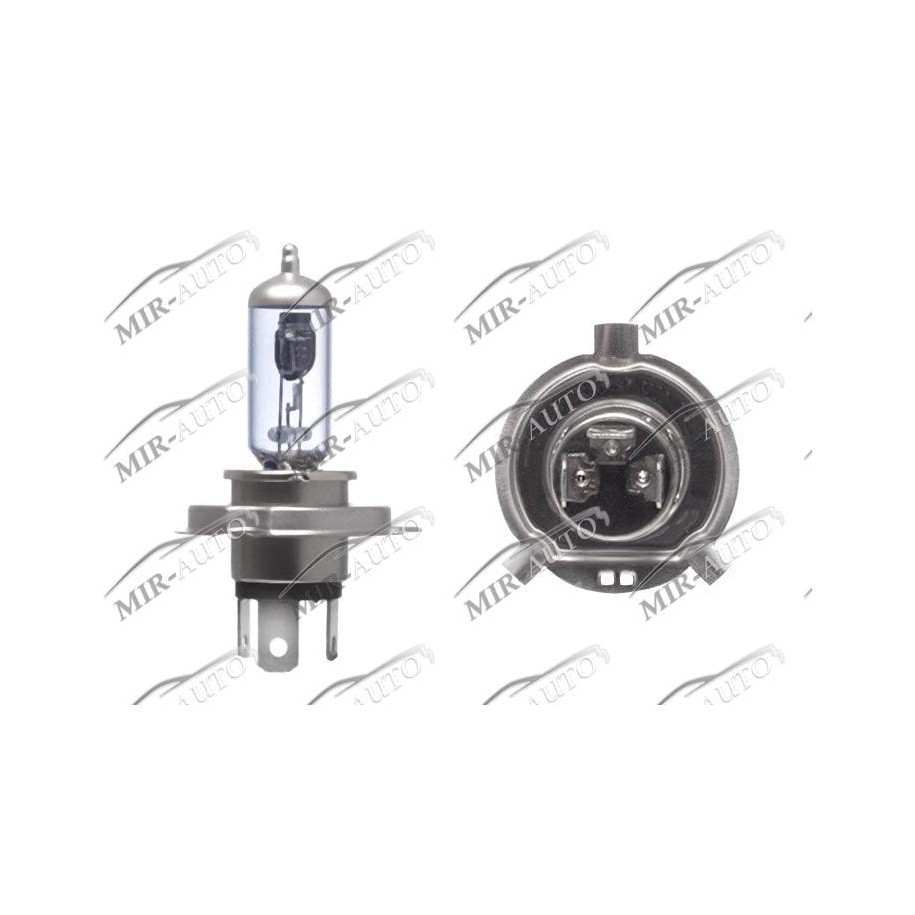MAGNETI MARELLI  12V H4 60/55W Bulb