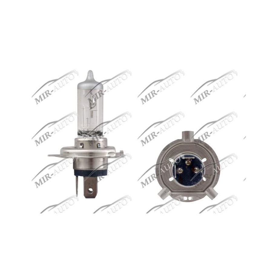 MAGNETI MARELLI  12V H4 60/55W Bulb