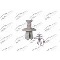 Rivet (plastic)