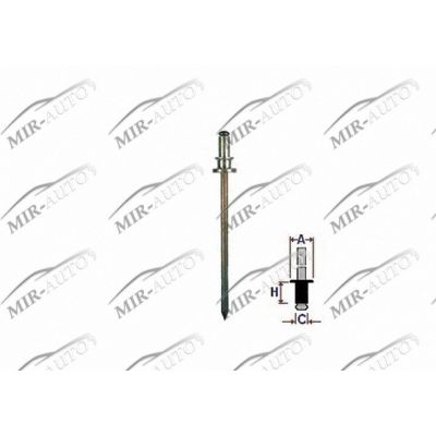 Rivet (metal)