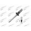 Rivet (metal)
