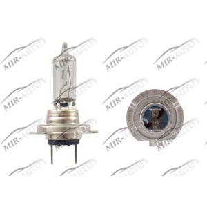 OSRAM  12V H7 55W Bulb