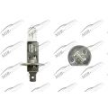 Lemputė  12V H1 55W MAGNETI MARELLI
