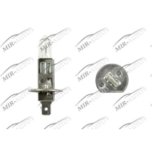 MAGNETI MARELLI  12V H1 55W Bulb