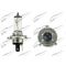 MAGNETI MARELLI  12V H4 60/55W Bulb