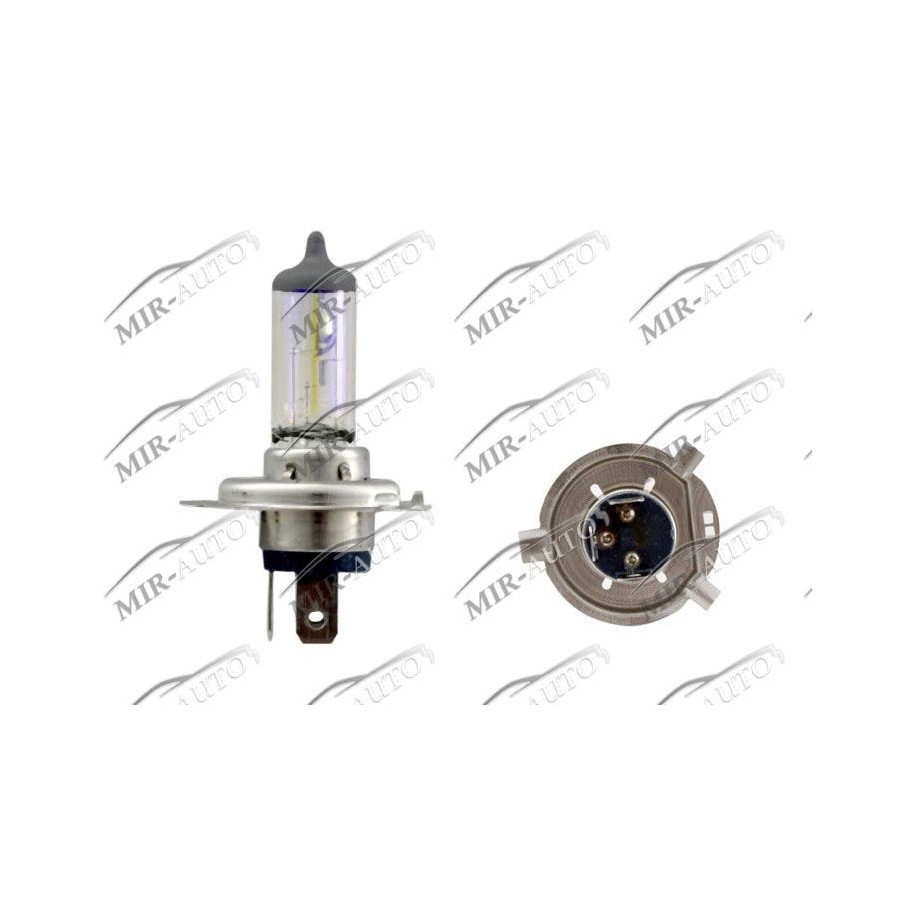 MAGNETI MARELLI  12V H4 60/55W Bulb