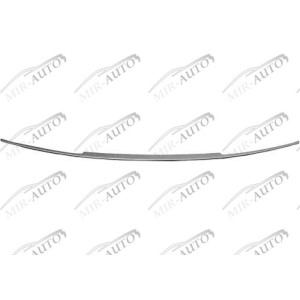 Bumper Grill Moulding