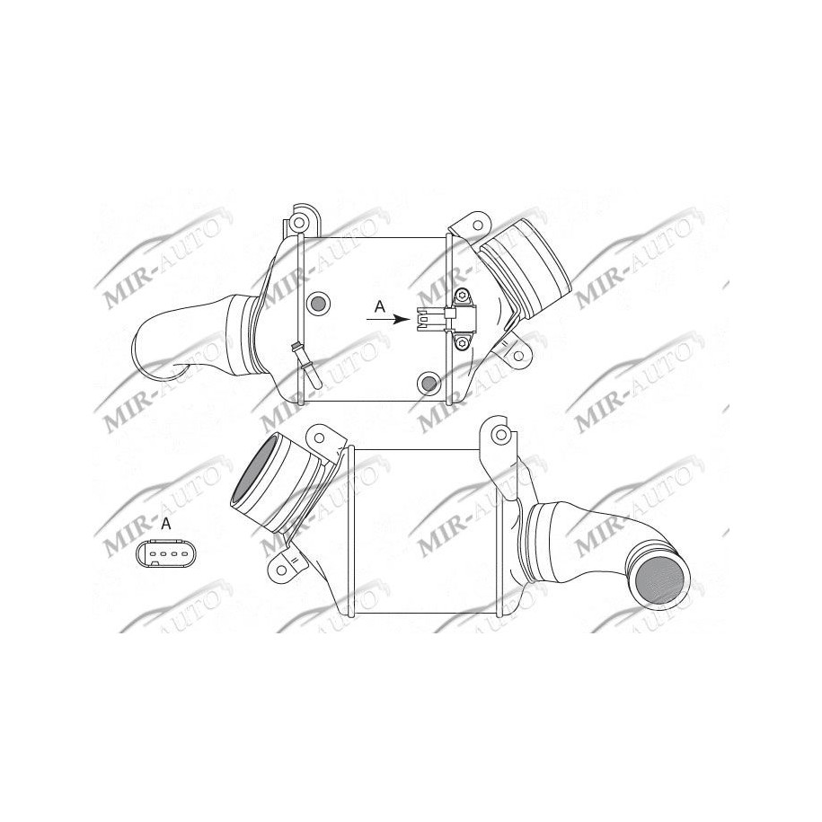 Dešinysis interkuleris