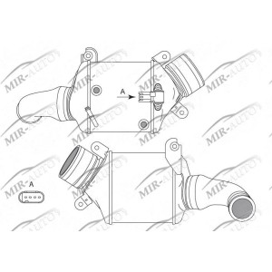 Dešinysis interkuleris