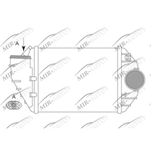 Kairysis interkuleris