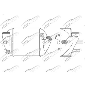 Kairysis interkuleris