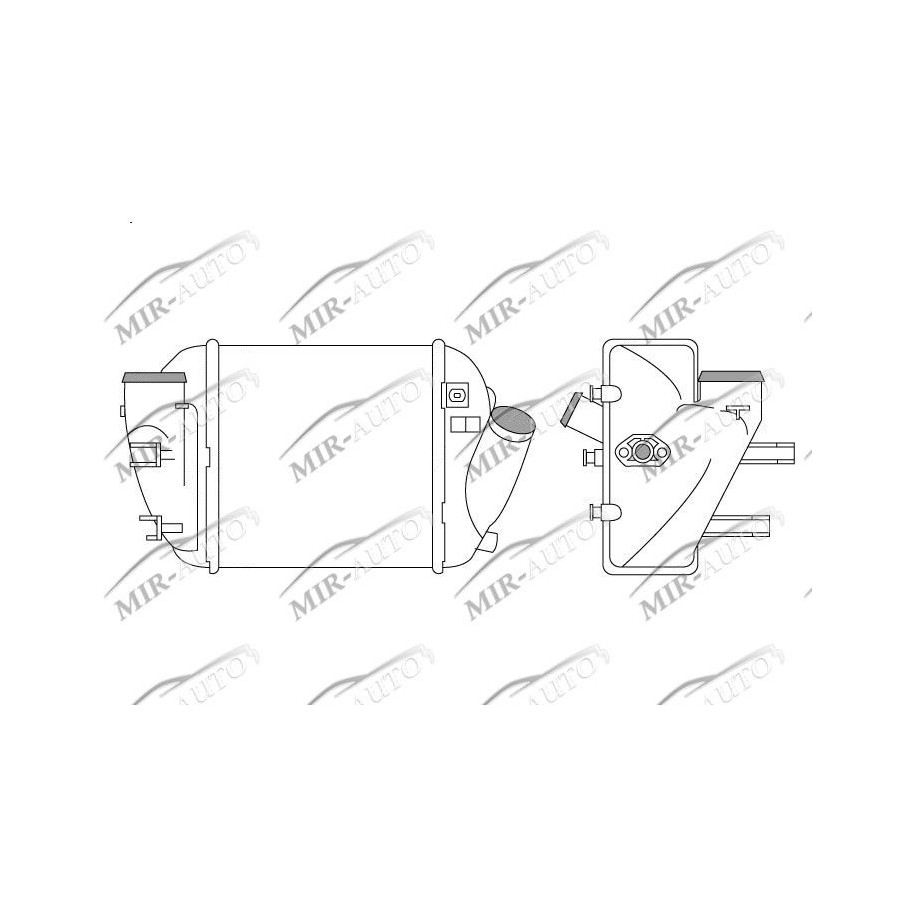 Kairysis interkuleris