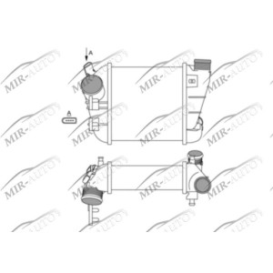 Kairysis interkuleris