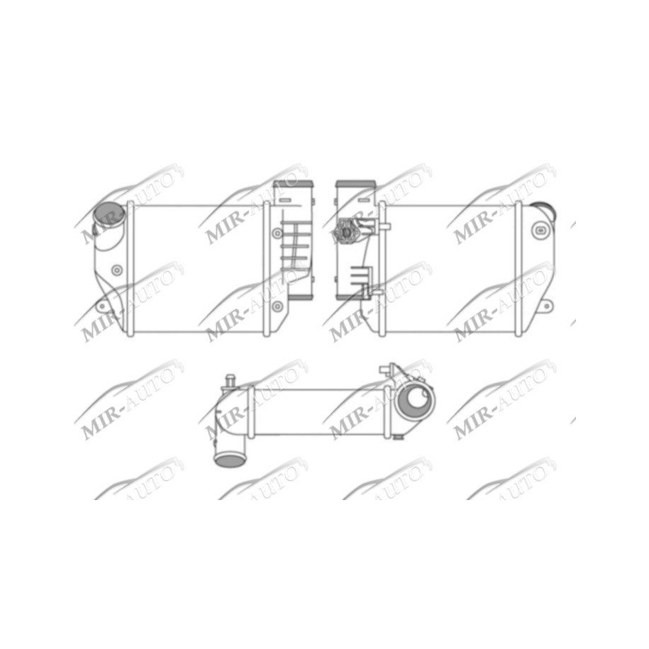 Kairysis interkuleris