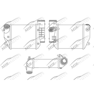 Kairysis interkuleris