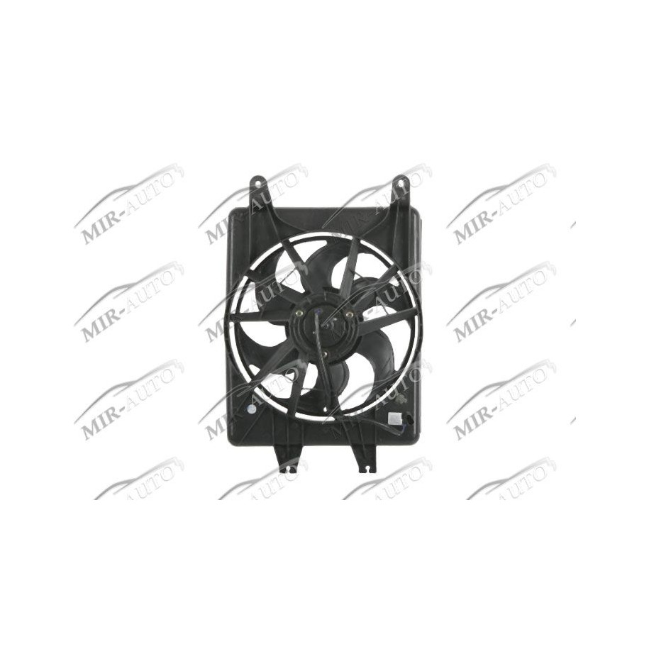 Radiator fan