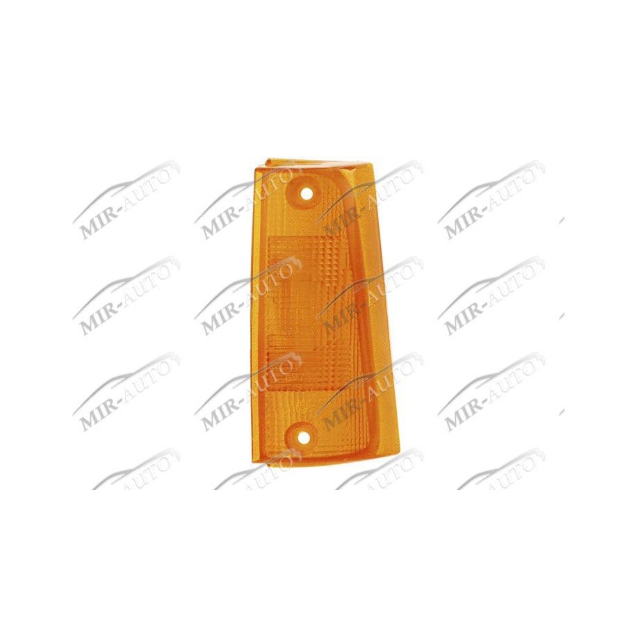 Front indicator lens