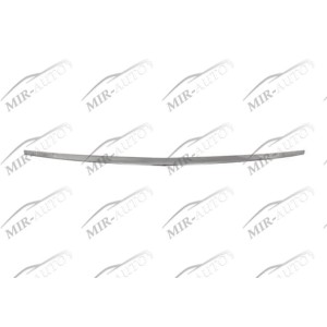 Bumper Grill Moulding