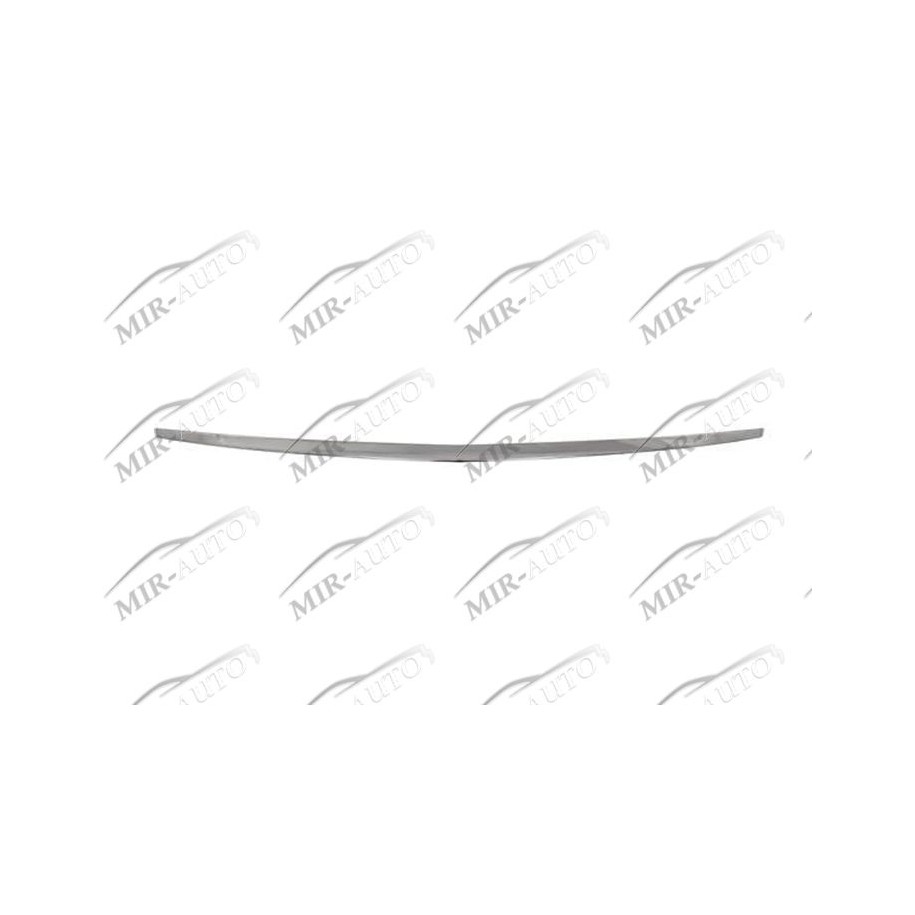 Bumper Grill Moulding