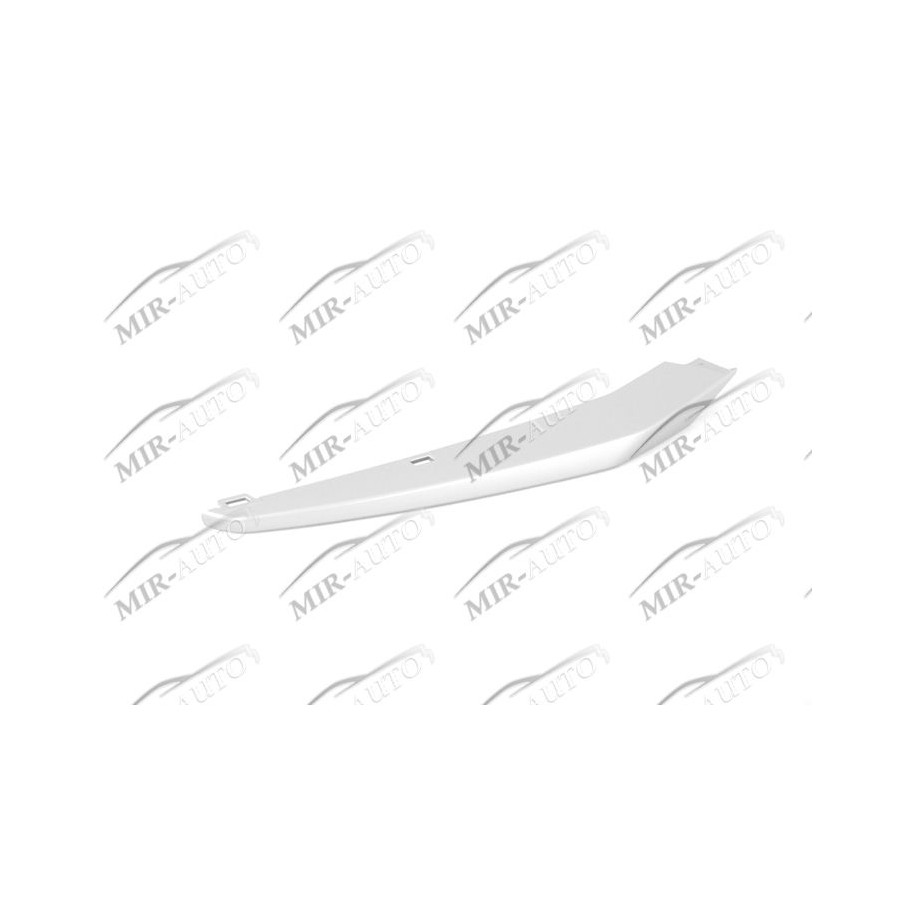 Bumper Grill Moulding