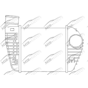 Dešinysis interkuleris
