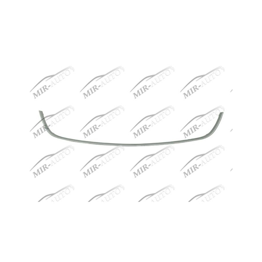 Bumper Grill Moulding