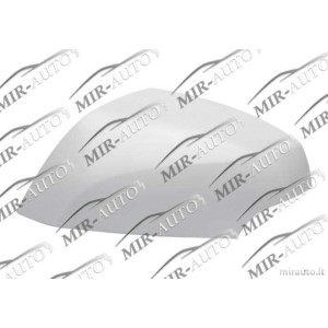 Veidrodžio korpusas