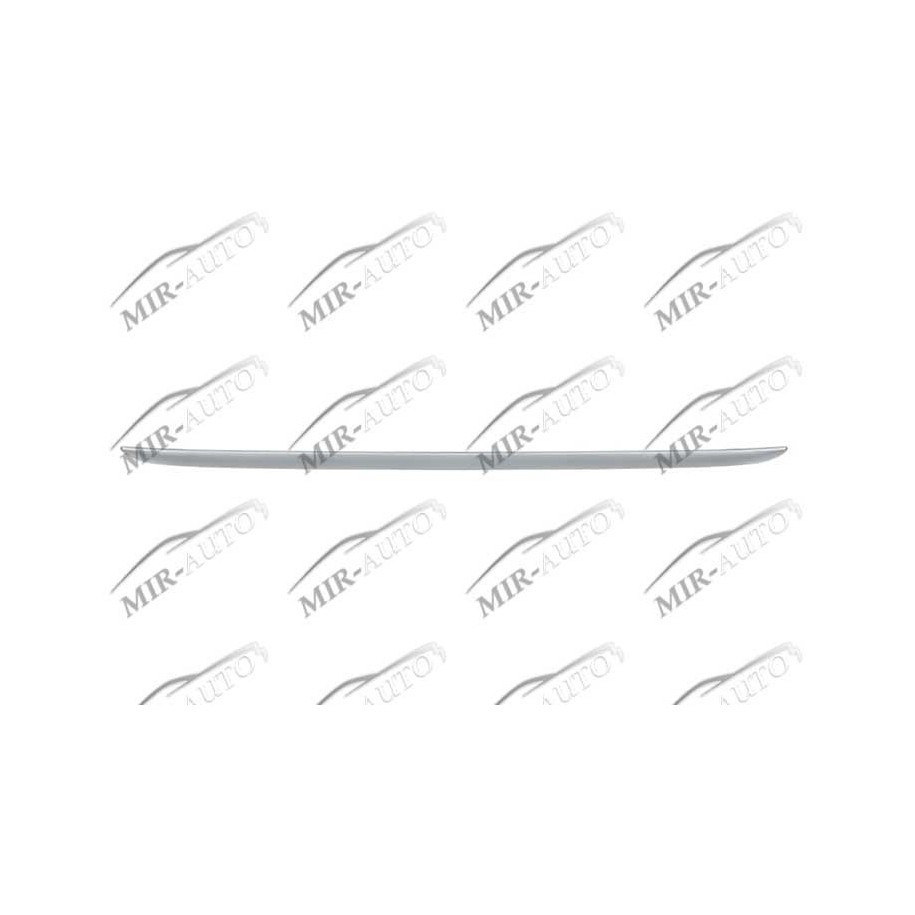 Bagažinės dangčio antdėklas