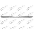 Bumper grill moulding