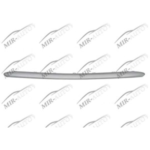 Bumper grill moulding