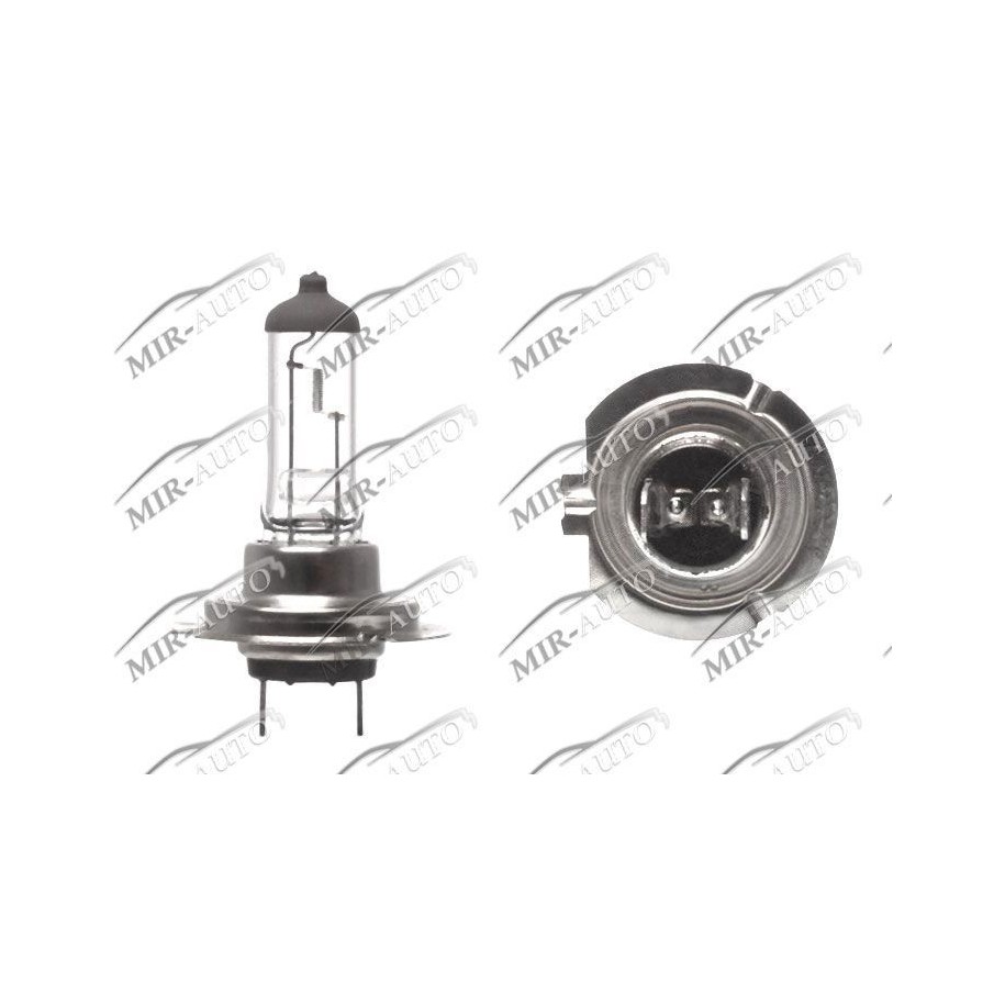 MAGNETI MARELLI  24V H7 70W Bulb
