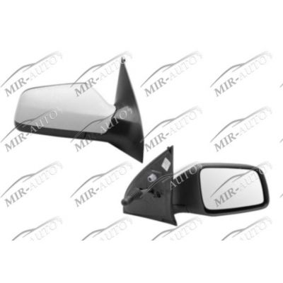 Door Mirror