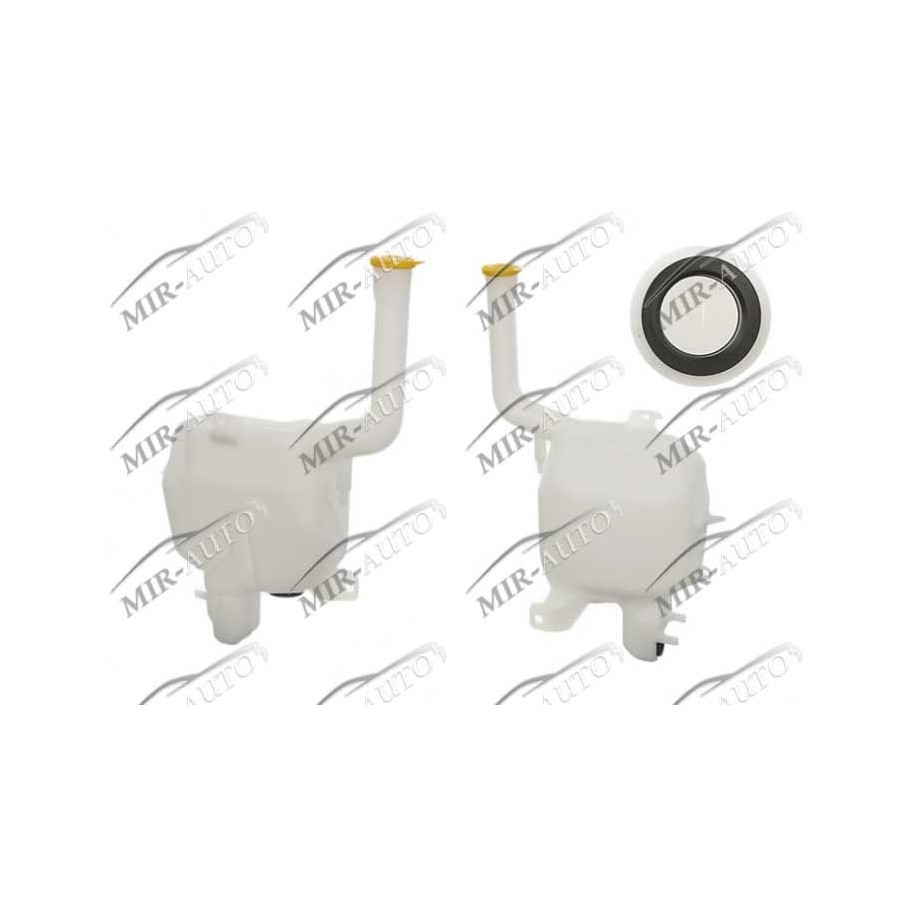 Windscreen washer tank