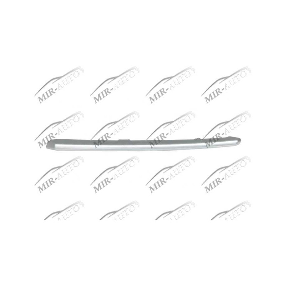 Bumper Grill Moulding