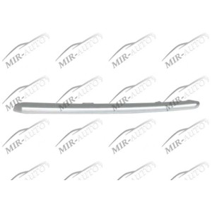 Bumper Grill Moulding