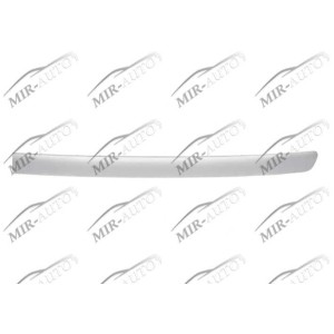 Bumper grill moulding