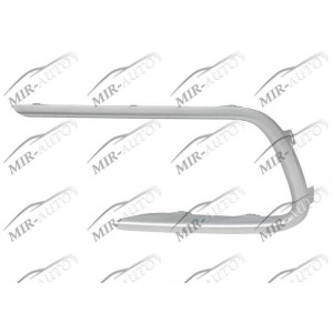 Fog Lamp Frame