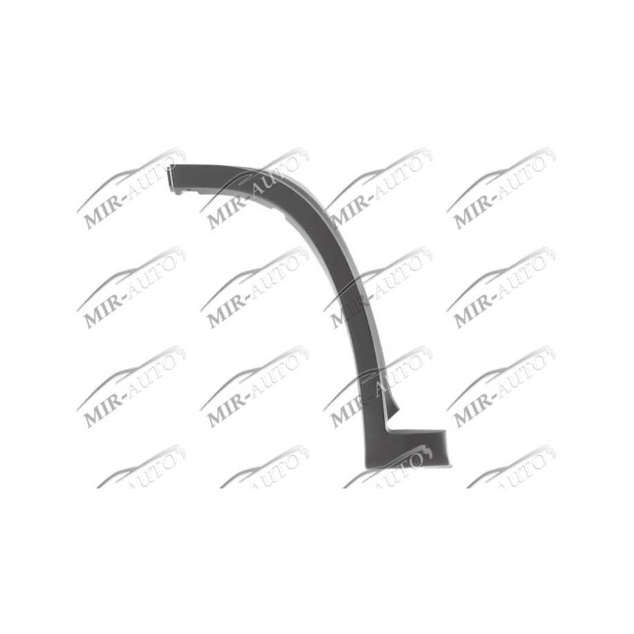 fender arch (moulding)